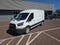 2026 Ford Transit Cargo Van T-250 148 Med Rf 9150 GVWR RWD