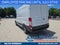 2026 Ford Transit Cargo Van T-250 148 Med Rf 9150 GVWR RWD