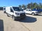 2026 Ford Transit Cargo Van T-250 130 Low Rf 9150 GVWR RWD