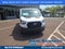 2025 Ford Transit Cargo Van T-250 148 Low Rf 9070 GVWR RWD