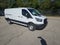 2025 Ford Transit Cargo Van T-250 148 Low Rf 9070 GVWR RWD