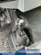 2027 Ford F-650SD Stake Bed Commercial