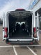 2026 Ford Transit-250 Base Commercial